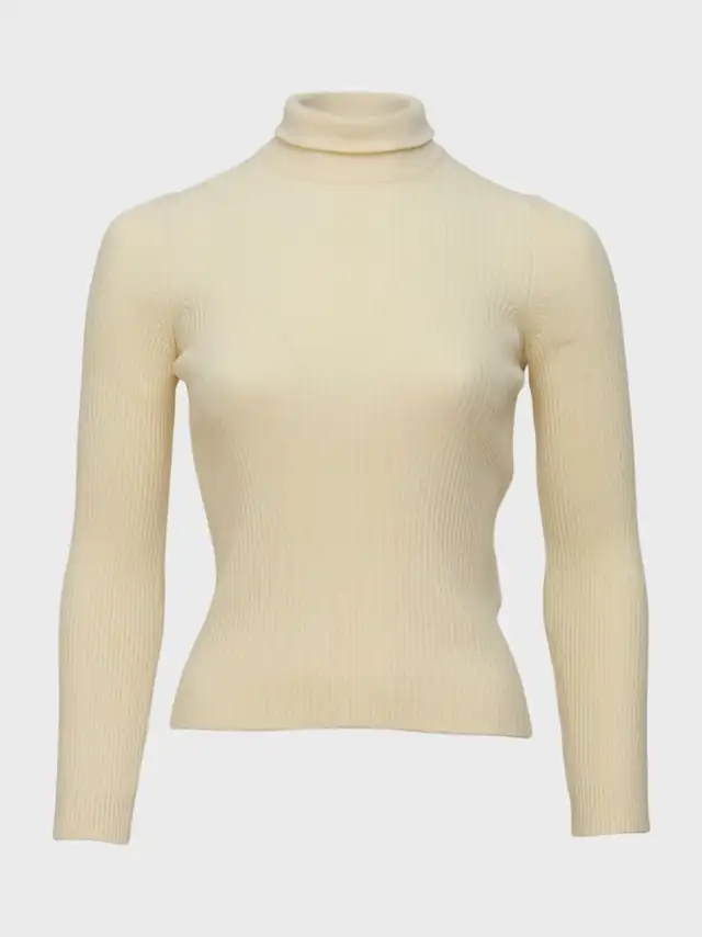 водолазка 17122568 - фото 1