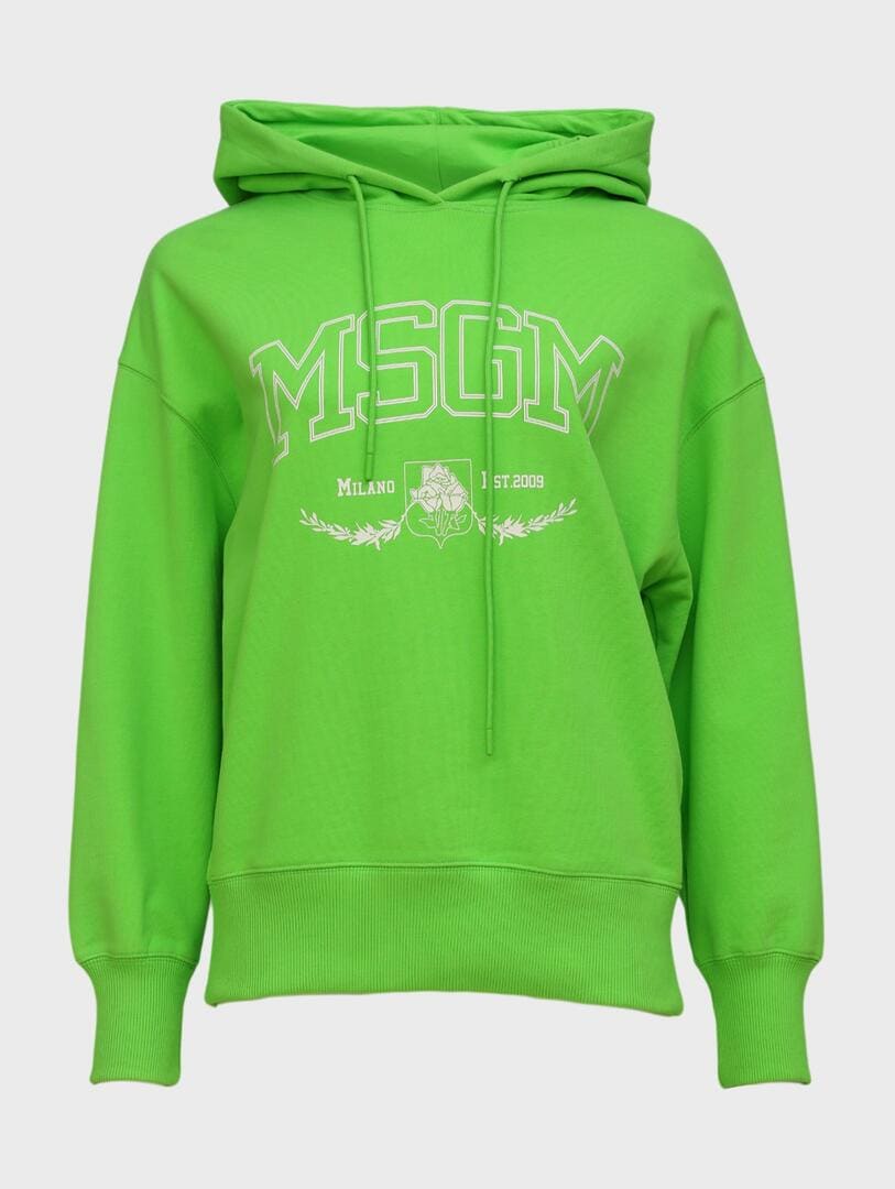 худи 26122025zelhudimsgm - фото 1